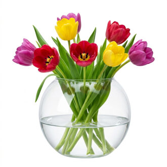 Hakbijl vaas - bolvormig - 23 x 30 cm - glas - 6L Transparant