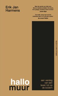 Hallo muur - Erik Jan Harmens - ebook