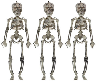 Halloween/horror thema hang decoraties - 3x - skeletten - in vergane staat - 30 cm