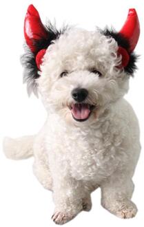 Halloween Vampire Hoed Pet Hoeden Grappige Duivel Hoorn Haar Accessoires Caps Voor Pet Kat Hond Party Cosplay Decor