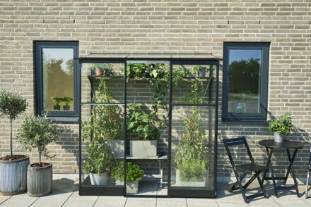 Halls Greenhouses QUBE LT 26 - Muurkas - Zwart - 189x65x204 cm - Veiligheidsglas
