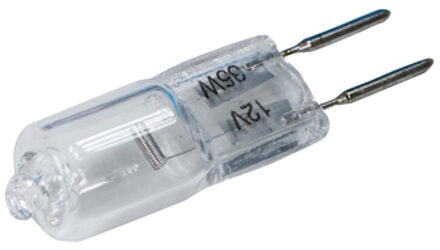 Halogeen 35W 12V Steeklampje GY6.35 35Watt