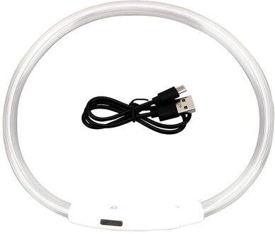 Halsbanden Glowing Lichtgevende Led Usb Halsband Oplaadbare Led Huisdier Halsband Nacht Veiligheid Knipperende Glow kleurrijk
