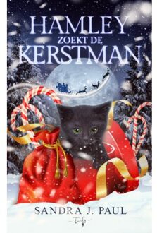 Hamley Zoekt De Kerstman - Sandra J. Paul