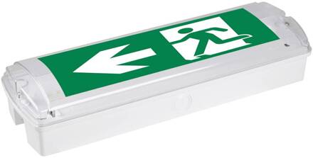 Hamm LED vluchtwegverlichting, inbouw, IP65 6500K wit