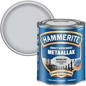 Hammerite Hoogglans Metaallak - Zilvergrijs - 750 ml