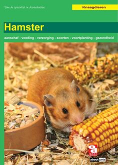 Hamster