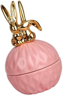 Hand Keramische Bonbondoos Stijlvolle Opslag Fles Mooie Opbergdoos konijn