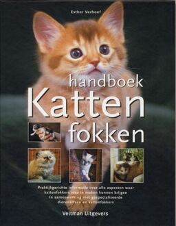 Handboek katten fokken - Boek Esther Verhoef (9059205456)