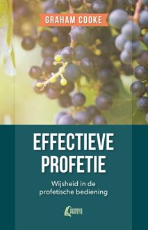 Handboek Profetie 3 -   Effectieve profetie