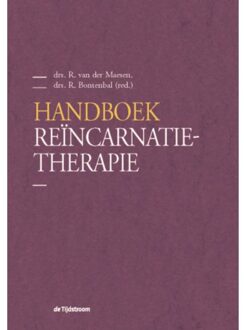 Handboek Reïncarnatietherapie - R. van der Maesen