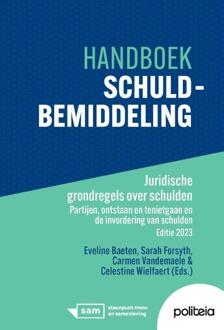 Handboek Schuldbemiddeling | Juridische grondregels over schulden -  Carmen Vandemaele (ISBN: 9782509042323)