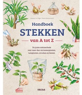 Handboek Stekken Van A Tot Z - ROSENN LE PAGE