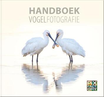 Handboek Vogelfotografie - Handboeken Natuurfotografie - Daan Schoonhoven
