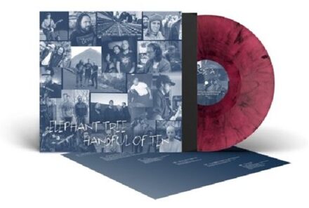 Handful Of Ten - Elephant Tree