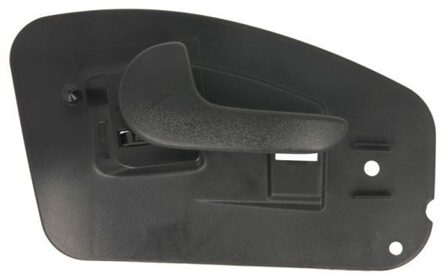 Handgreep, interieur 601004040409TP