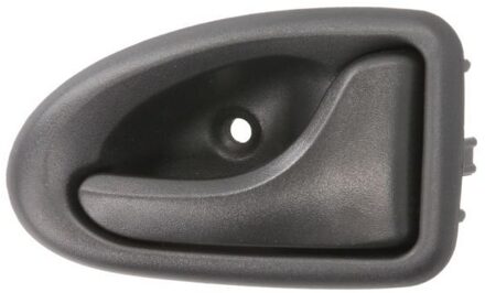 Handgreep, interieur 601009032408P