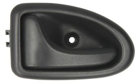 Handgreep, interieur 6010096032409P