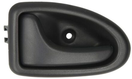 Handgreep, interieur 6010096032409SP