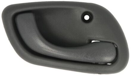 Handgreep, interieur 601018014408PP