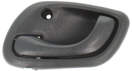 Handgreep, interieur 601018014409P