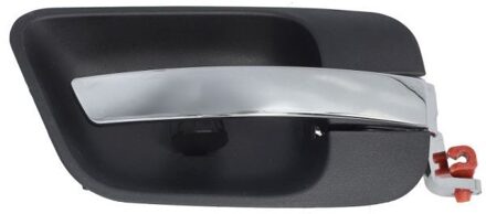 Handgreep, interieur 601058011408PPPP