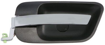 Handgreep, interieur 601058011409PPPP