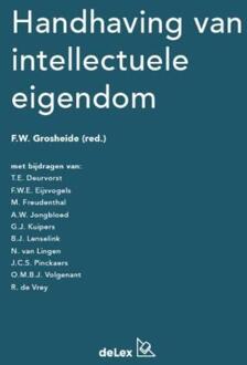 Handhaving van intellectuele eigendom - Boek F.W. Grosheide (9086920462)