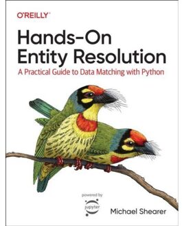 Hands-On Entity Resolution - Shearer, Michael