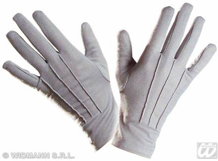 Handschoenen grijs Zilver - Grijs