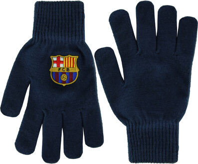 Handschoenen Volwassenen Logo Blauw