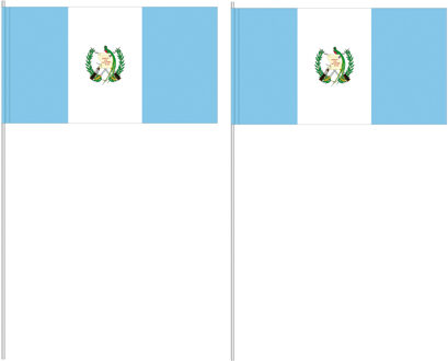 Handvlag Guatemala 12 x 24 cm Multi