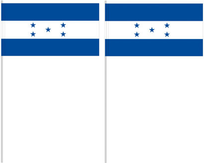 Handvlag Honduras 12 x 24 cm Multi