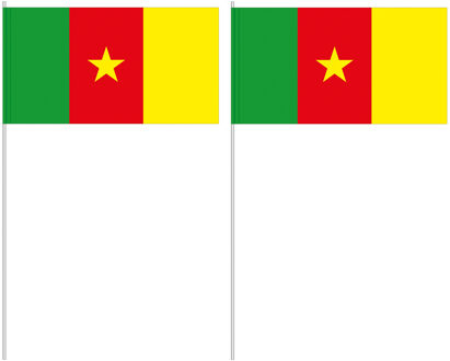 Handvlag Kameroen 12 x 24 cm Multi