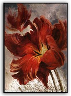 Handwerken, Diy Kruissteek, Set Voor Vol Borduurwerk Kit, red Poppy Bloemen Gedrukt Patronen Kruissteek Kits Home Decor