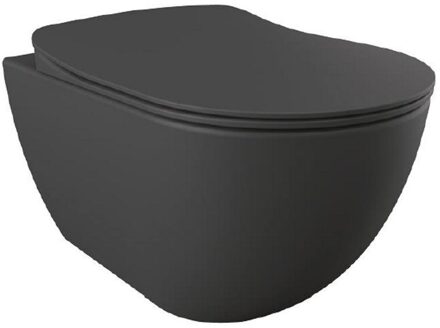 Hangend Toilet - 35.3x51cm - RVS Bidetsproeier - spoelrandloos - mat antraciet FE322-00AM00E-0005 Antraciet mat