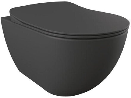 Hangend Toilet - 35.3x51cm - RVS Bidetsproeier - spoelrandloos - mat antraciet FE322-00AM00E-0005 Antraciet mat