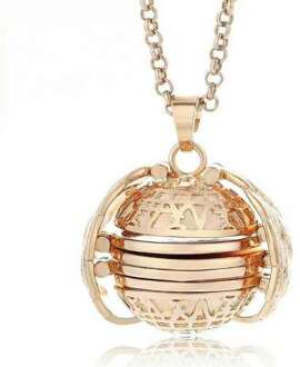 Hanger Geheugen Uitbreiden Foto Medaillon Memorial Sieraden Decoratie Album Box Kettingen als Cadeau voor Vriendin, Familie roos goud