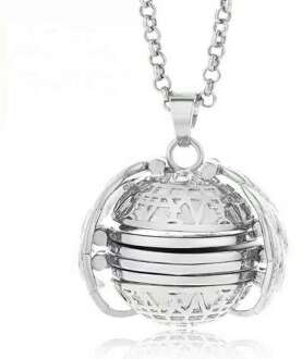 Hanger Geheugen Uitbreiden Foto Medaillon Memorial Sieraden Decoratie Album Box Kettingen als Cadeau voor Vriendin, Familie Zilver