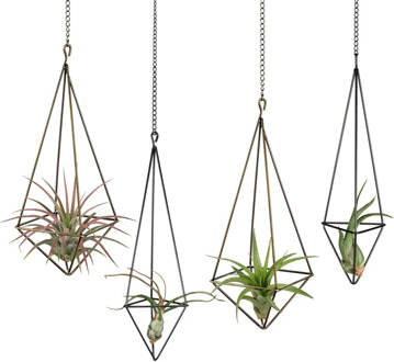 Hanging Air Plant Holder- 4 Pack, 2 Sizes Metal Air Plant Rack Tillandsia Hanger Display Himmeli Planter with Chains