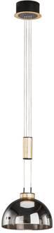 Hanglamp Avignon 1-lamp rookglas/zwart/goud rookgrijs-transparant, zwart, bladgoud