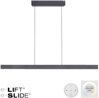 Hanglamp e-Lift + e-Slide L 120-200 cm zwart
