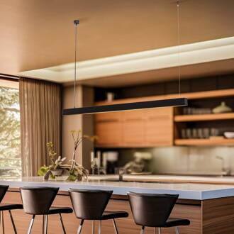 Hanglamp Lungo, zwart, lengte 124 cm