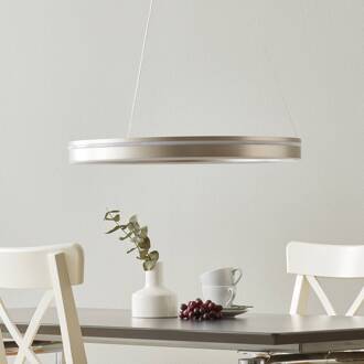 Hanglamp Q-Vito 59cm Staal Smart Home