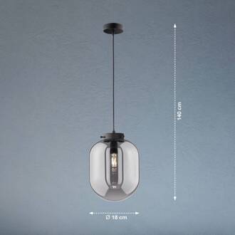 Hanglamp Regi, 1-lamp, Ø 18 cm mat zwart, rookgrijs-transparant