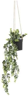 Hangplant - 65 cm