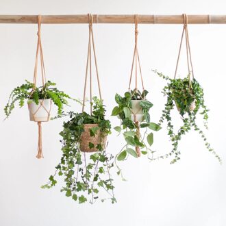 Hangplantenbox - 4 stuks