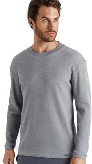 Hanro Heren Night & Day Shirt l/slv shirt grijs 075431 grijs (2170-classic-melange-grijs)) - 54-56