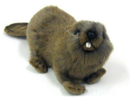 Hansa bever knuffel - 20 cm - pluche - beverknuffel - knuffeldier Multi