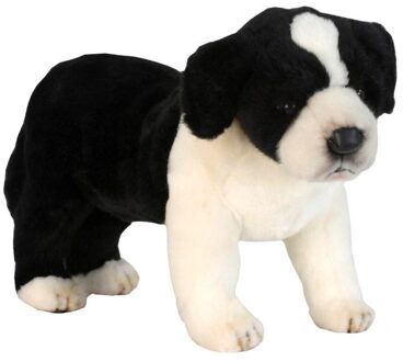 Hansa Knuffel Border Collie, 39 Cm